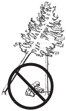 HUSQVARNA 340 - Récupération d'un arbre accroché - 1