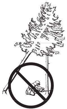 HUSQVARNA 340 E - Freeing a "trapped tree" - 1