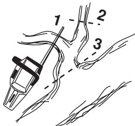 HUSQVARNA 340 E - Limbing - 1