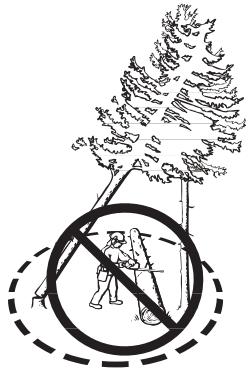 HUSQVARNA 340 E - Freeing a "trapped tree" - 2