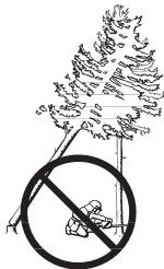 HUSQVARNA 345 E - Freeing a "trapped tree" - 1
