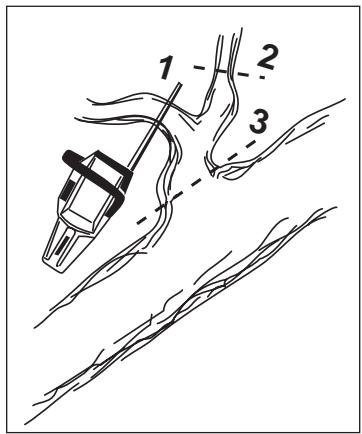 HUSQVARNA 371 XP - Limbing - 3