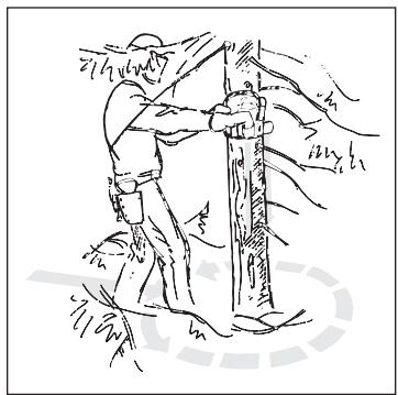 HUSQVARNA 371 XP - C Clearing the trunk and preparing your retreat - 1