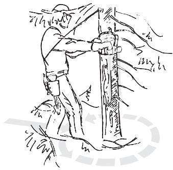 HUSQVARNA 385 XP - Clearing the trunk and preparing your retreat - 1