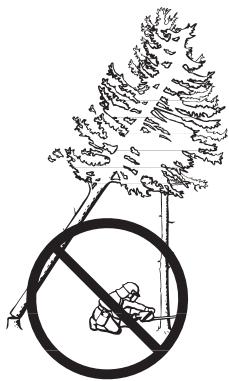 HUSQVARNA 385 XP - Freeing a "trapped tree" - 1