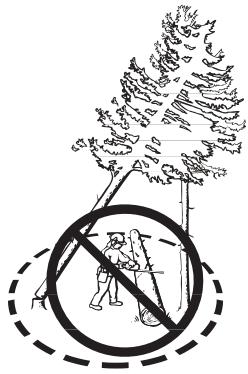 HUSQVARNA 385 XP - Freeing a "trapped tree" - 2