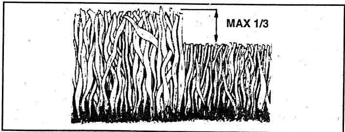 HUSQVARNA IPL - MULCHING MOWING TIPS - 1