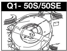 Q1- 50S/50SE