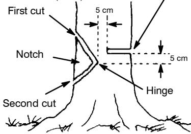 HUSQVARNA 142 - NOTCH CUT AND FELLING THE TREE - 1