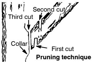 HUSQVARNA 142 - PRUNING - 1