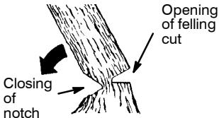 HUSQVARNA 142 - NOTCH CUT AND FELLING THE TREE - 2