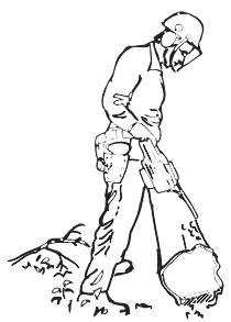 HUSQVARNA 55 RANCHER - Limbing - 2