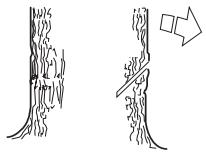 HUSQVARNA 55 RANCHER - Directional cuts - 1