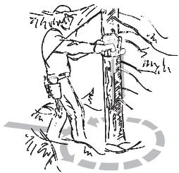 HUSQVARNA 55 RANCHER - Clearing the trunk and preparing your retreat - 1