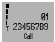 01 23456789 Call
