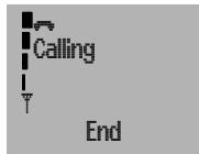 Calling End
