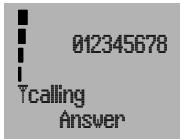 012345678 Tcalling Answer