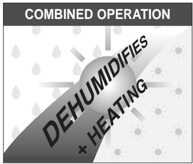 DELONGHI DE 320 - Introduction - 2