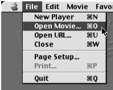 JVC GC-X3 - Preparation - 2