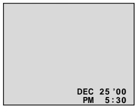 JVC GR-DVL300 - Display - 2