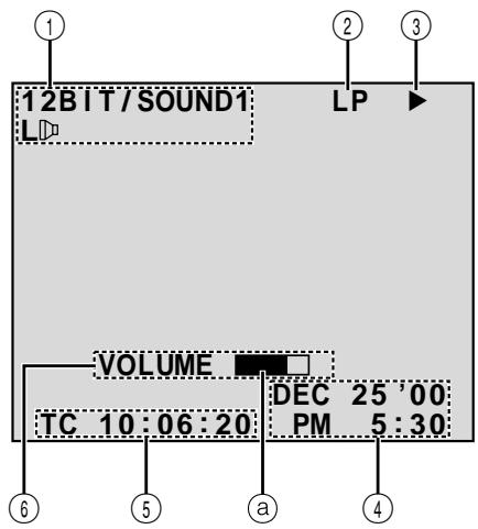 JVC GR-DVL300 - LCD Monitor/Viewfinder Indications During Playback - 1