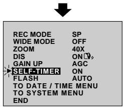 JVC GR-DVX4 - Dissolves during 5 second recording mode - 3