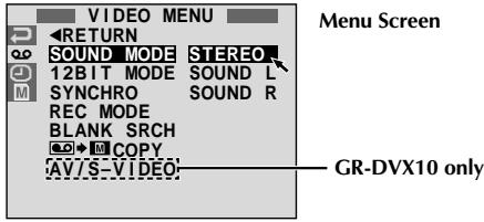 JVC GR-DVX8 - Slow-Motion Playback, Playback Zoom and Playback Special Effects - 2