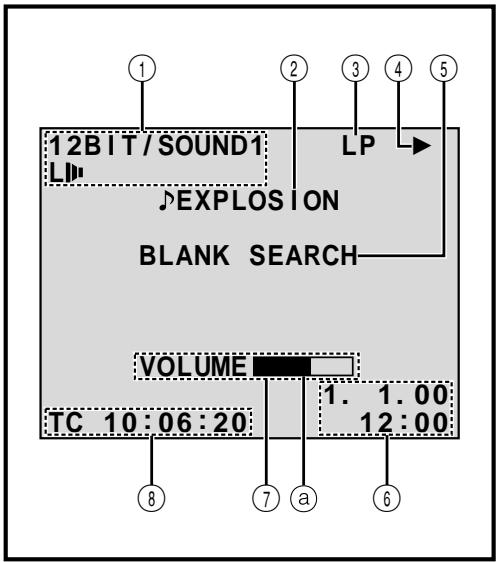 JVC GR-DVX8 - LCD Monitor/Viewfinder Indications During Video Playback - 1