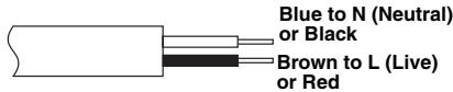 JVC GZ-MG47E - BE SURE to replace the fuse only with an identical approved type, as originally fitted, and to replace the fuse cover. - 1