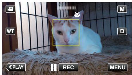 JVC GZ-EX215BEU - Capturer des animaux automatiquement (PHOTO ANIMAUX) - 6