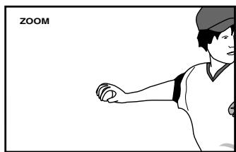 JVC XV-S302SL - Use CURSOR ▲/▼/◄/► to move the zoomed-in scene. - 1