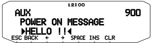 12:00 AUX POWER ON MESSAGE HELLO!! ESC BACK ← → SPACE INS CLR 900