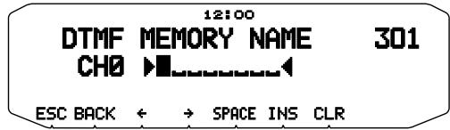 12:00 DTMF MEMORY NAME 301 CH0 ▶ ESC BACK ← → SPACE INS CLR