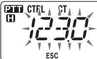 PTT CTFL CT H 12:30 ESC