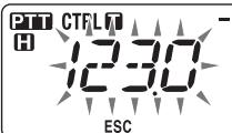 PTT CTFLT H 12:30 ESC