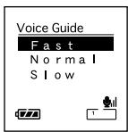 Voice Guide Fast Normal Slow