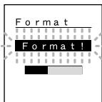 Format Format!