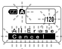 OLYMPUS WS-300M - Erase All Files from a Folder - 2