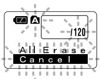 OLYMPUS WS-320M - Erase All Files from a Folder - 2