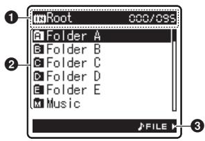 OLYMPUS LS-10 - Folder List Display - 1