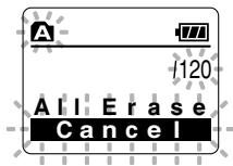 OLYMPUS WS-311M - Erase All Files from a Folder - 3