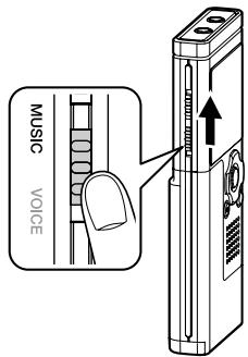 OLYMPUS WS-311M - File display - 2