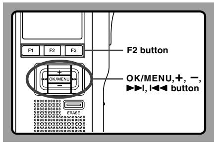 OLYMPUS DS-5000 - The Displayed Information - 1