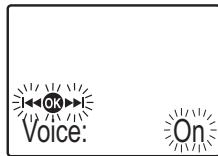 OK Voice: On