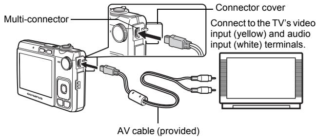 OLYMPUS FE-280 - Playback on a TV - 1