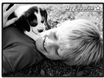 OLYMPUS STYLUS 770 SW - ★ Viewing "My Favorite" - 1