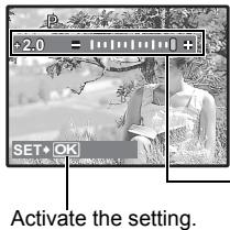 OLYMPUS STYLUS 770 SW - Calendar display - 1