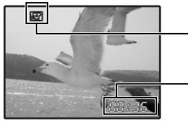 OLYMPUS STYLUS 770 SW - Recording movies - 1
