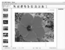 OLYMPUS µ 740 - Viewing still pictures and movies - 2