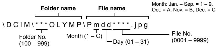 OLYMPUS Μ 850SW - Structure of file name and folder name - 1